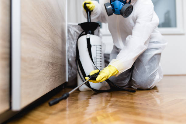 Best Emergency Pest Control  in Cheboygan, MI