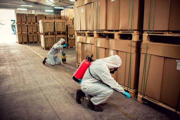 Best Pest Inspection Near Me  in Cheboygan, MI