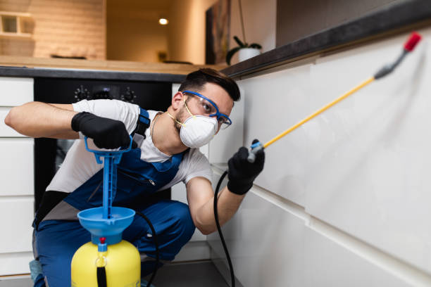 Best Insect Control  in Cheboygan, MI