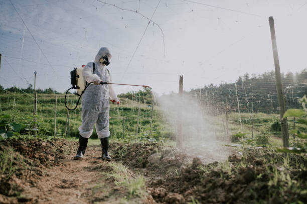 Best Commercial Pest Control Services  in Cheboygan, MI