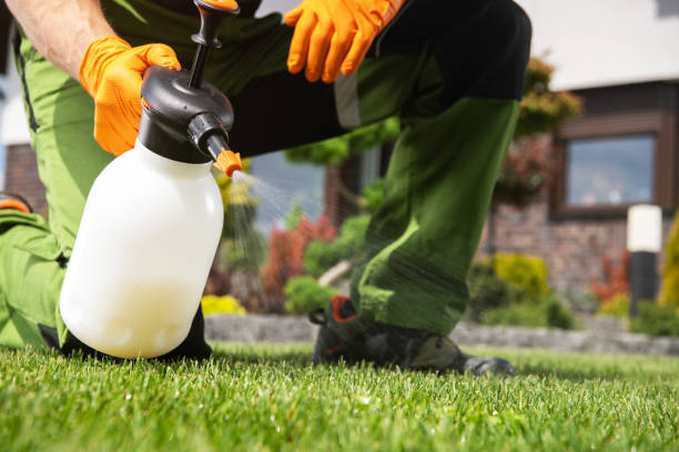 Trusted Cheboygan, MI Pest Control Experts