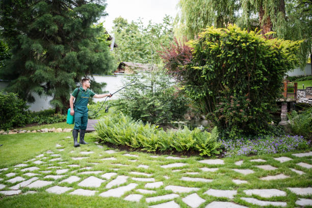 Flea Control Services in Cheboygan, MI