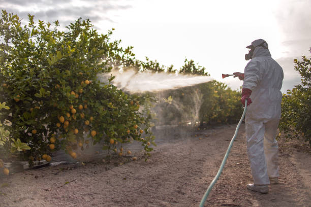 Best Best Pest Control Near Me  in Cheboygan, MI