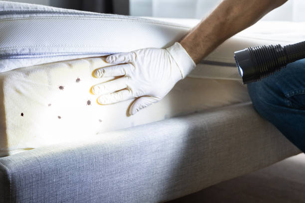Best Best Pest Control Companies  in Cheboygan, MI
